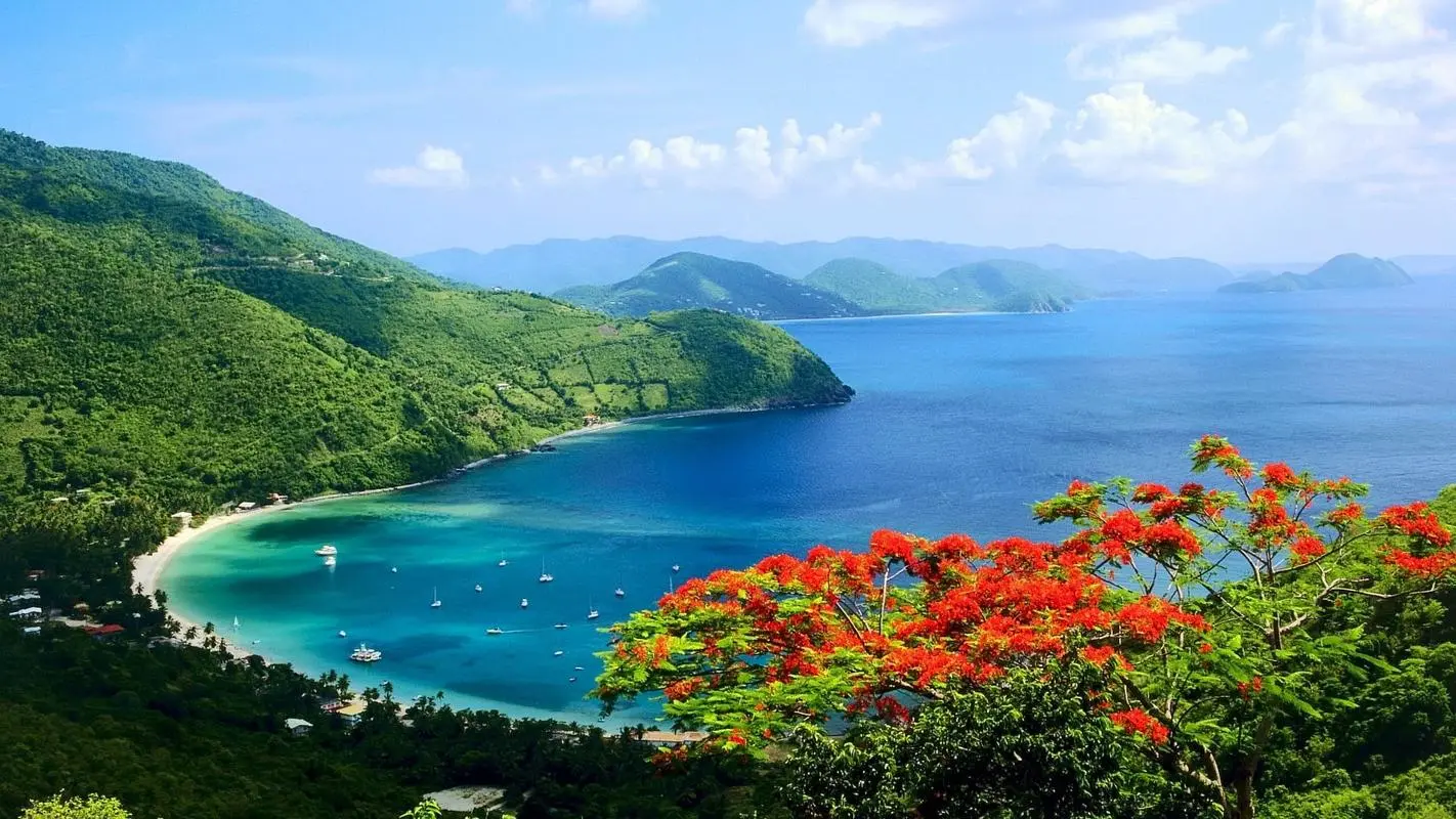 高标准稳定性高端